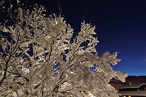 IMG_2367 Advent-stemning en tidlig morgen
