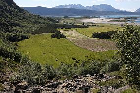 IMG_0796 Vollmo-anlegget. Rart å tenke på alt det som skjedde på disse grasslettene for 1500 år siden.