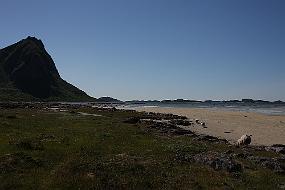 IMG_0839 Flatt og bratt, hav og fjell. Alt i ett. Det tar fort pusten av en. Dette er fra ei sandstrand nær Steigbergsleira