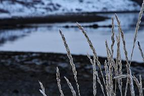 IMG_3012-2 Alltid vakkert i fjæra ved naustet