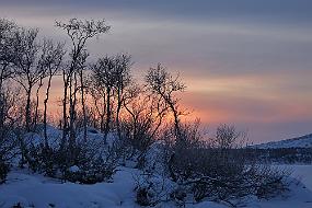 IMG_3081 Isfiske på Ropelvvann. Med kamera, selvfølgenig