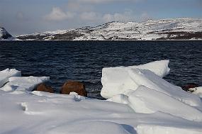 IMG_4025 Norge i rødt , hvitt og blått