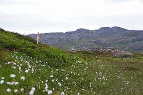 Oeretopp3 Tursti-reklame - målet i det fjerne