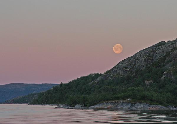 Ropelvvannet - 2008