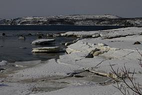 IMG_6287 Smertevika på Jakobsnes