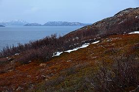 IMG_0119 Litt vårlig utsikt. Kjelmøya i bakgrunnen